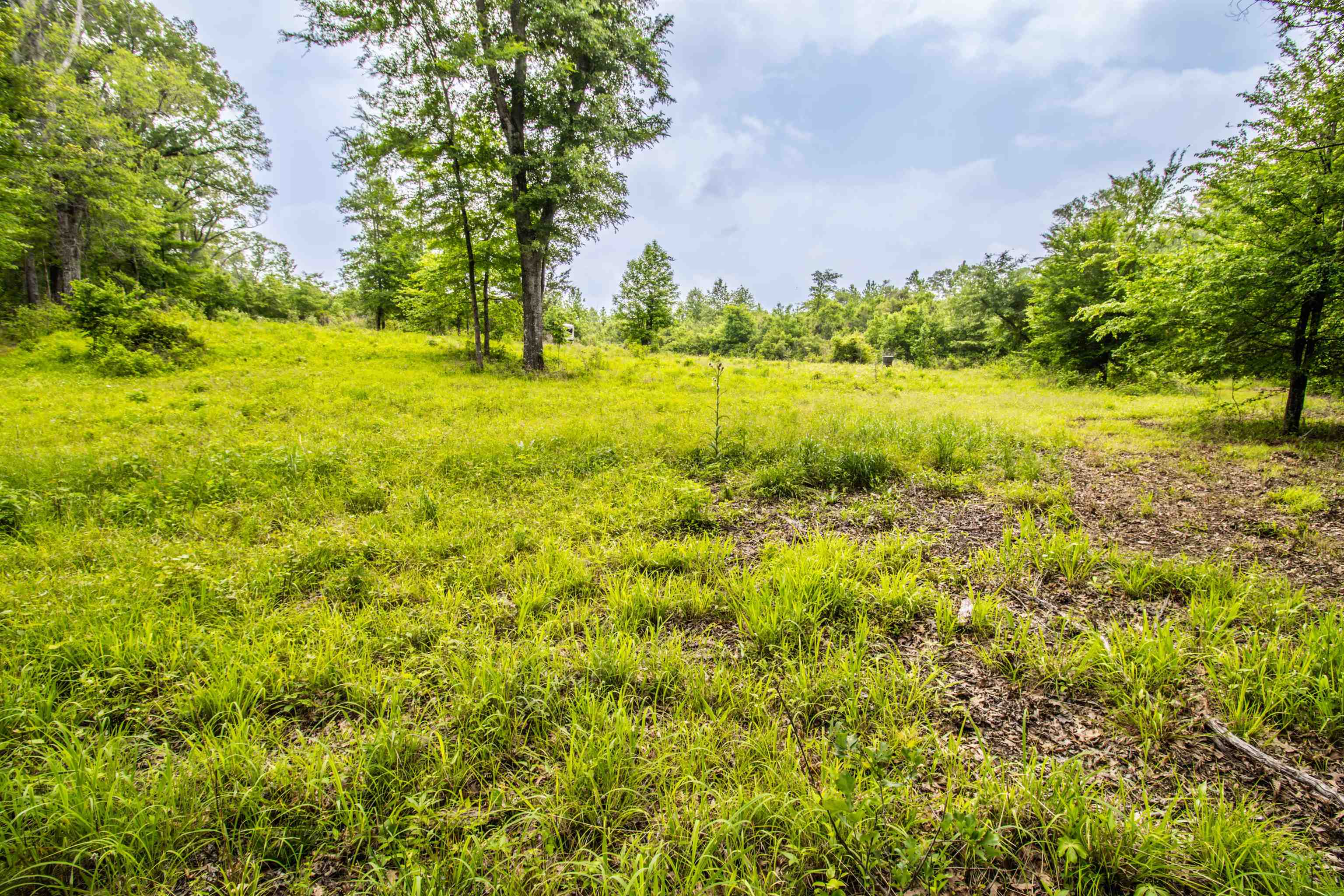 962 Cowpen Rd