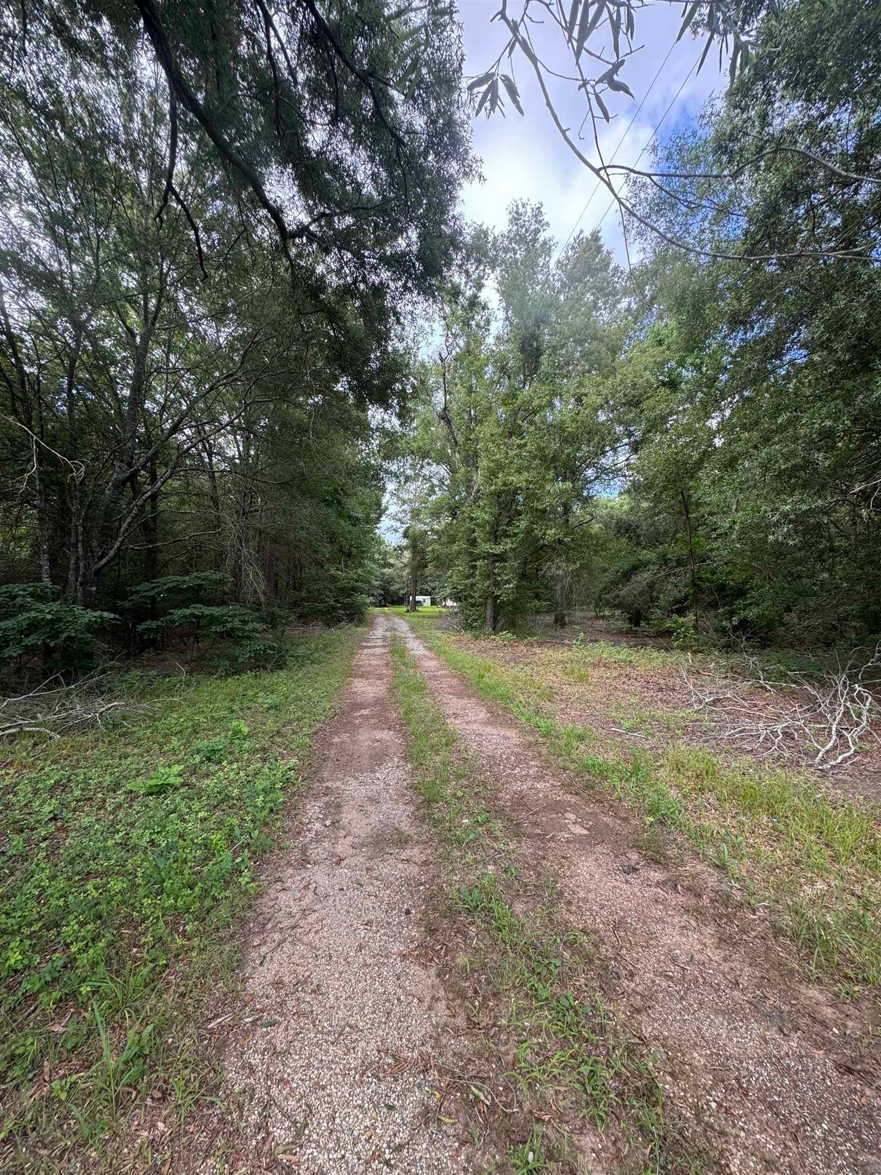 2564 Fm 2517
