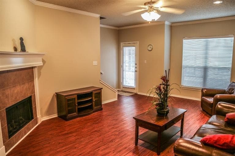 Gallery image 2