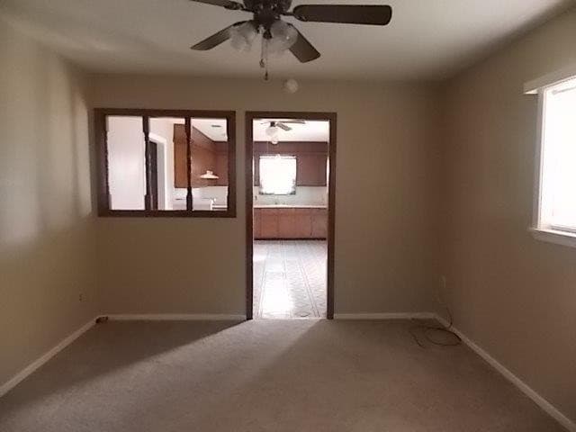 Gallery image 3