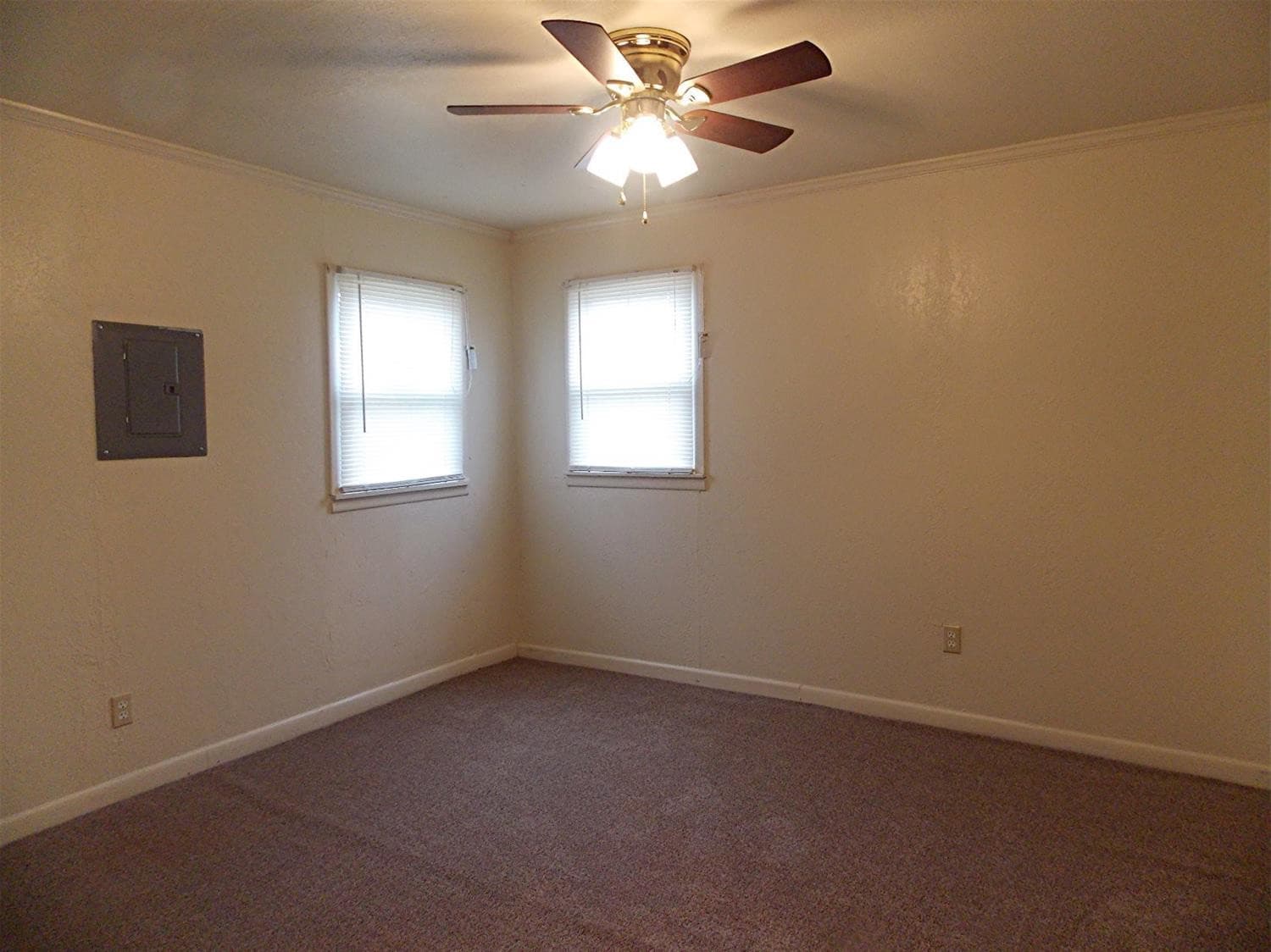 Gallery image 5