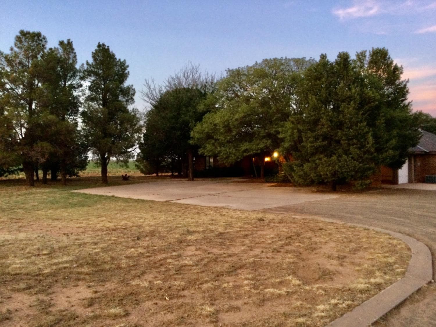 Gallery image 5