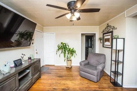 Gallery image 5