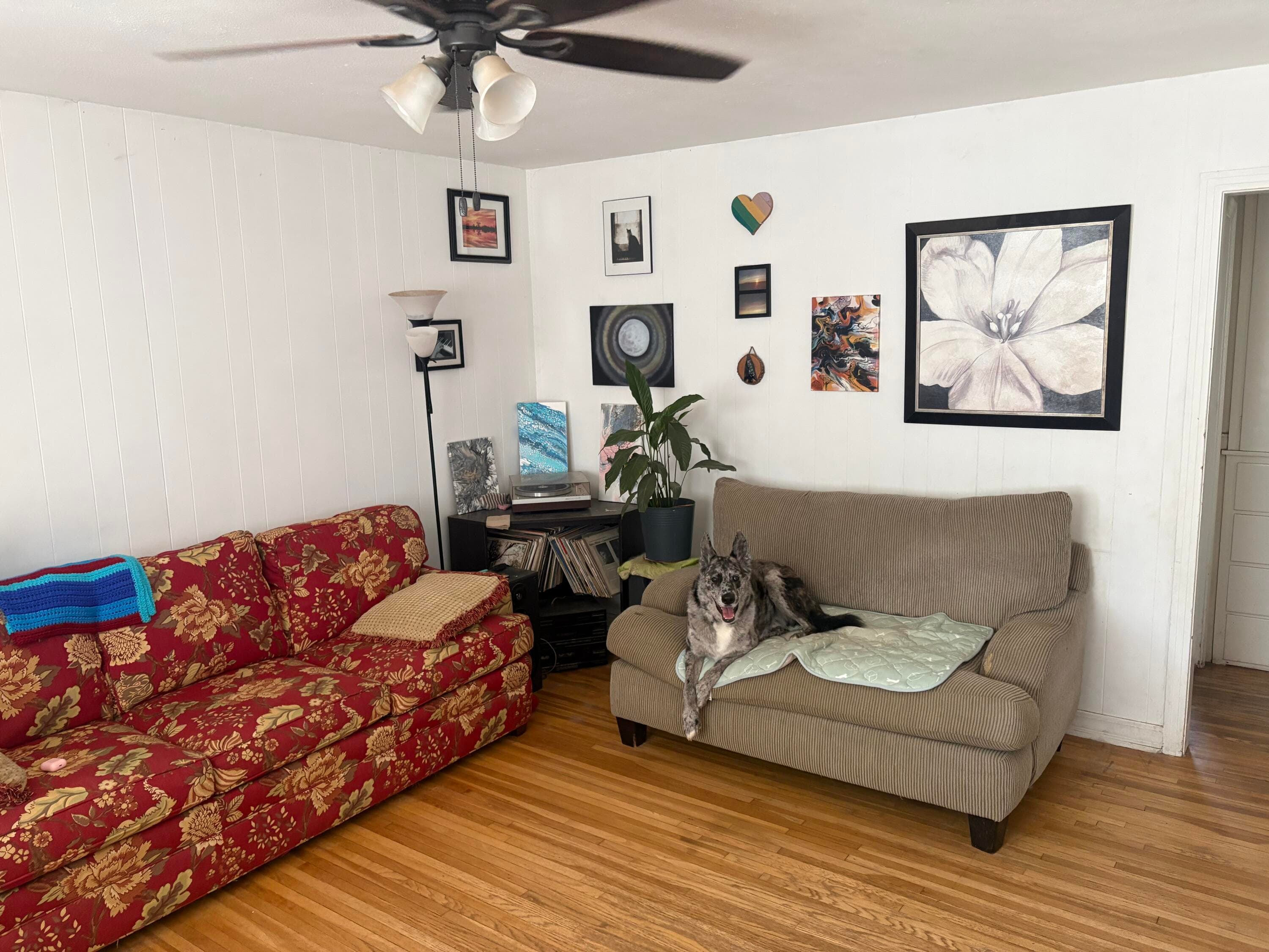 Gallery image 2