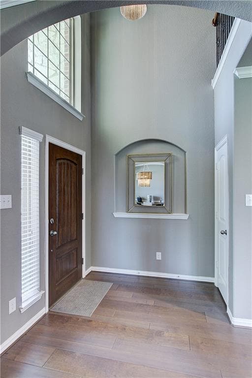 Gallery image 4