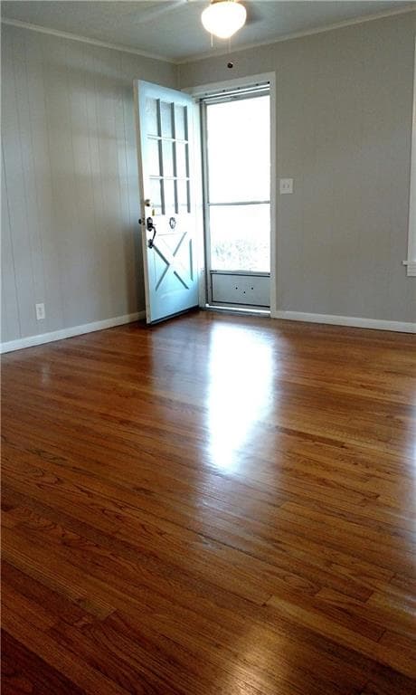 Gallery image 4