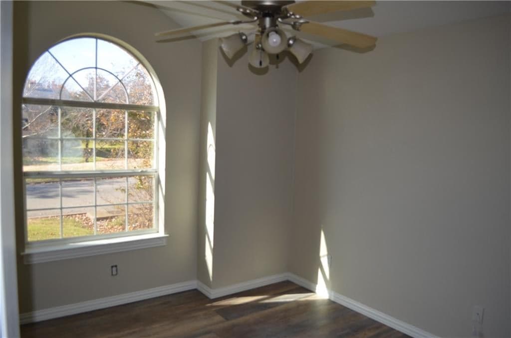 Gallery image 5
