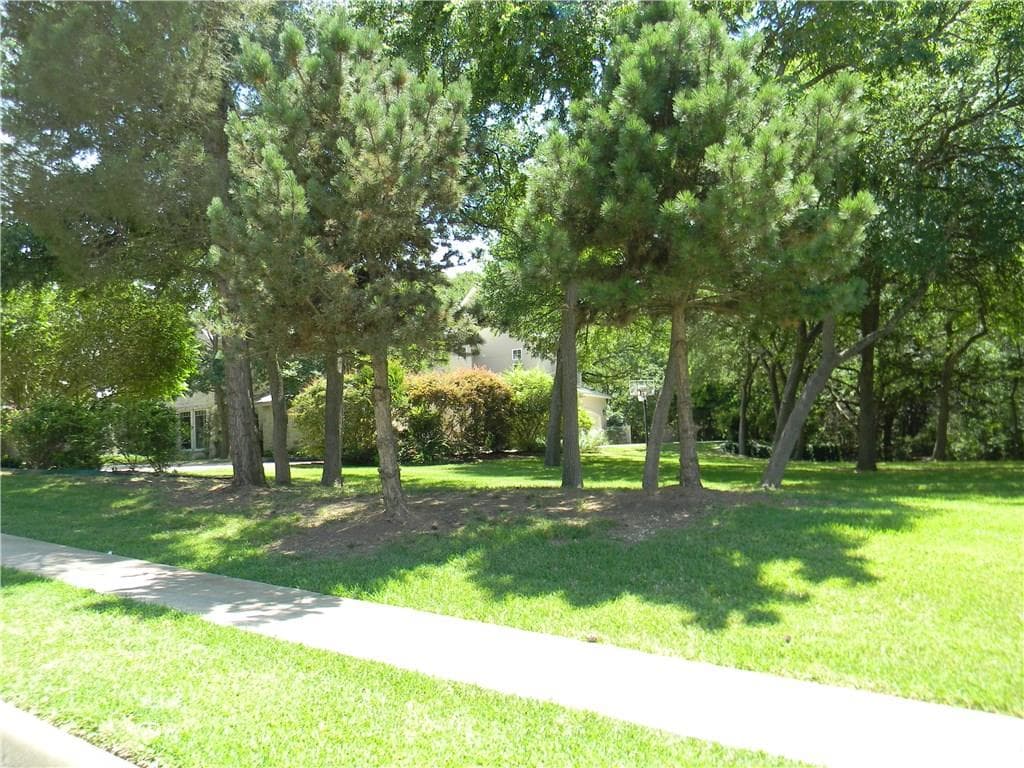 Gallery image 4