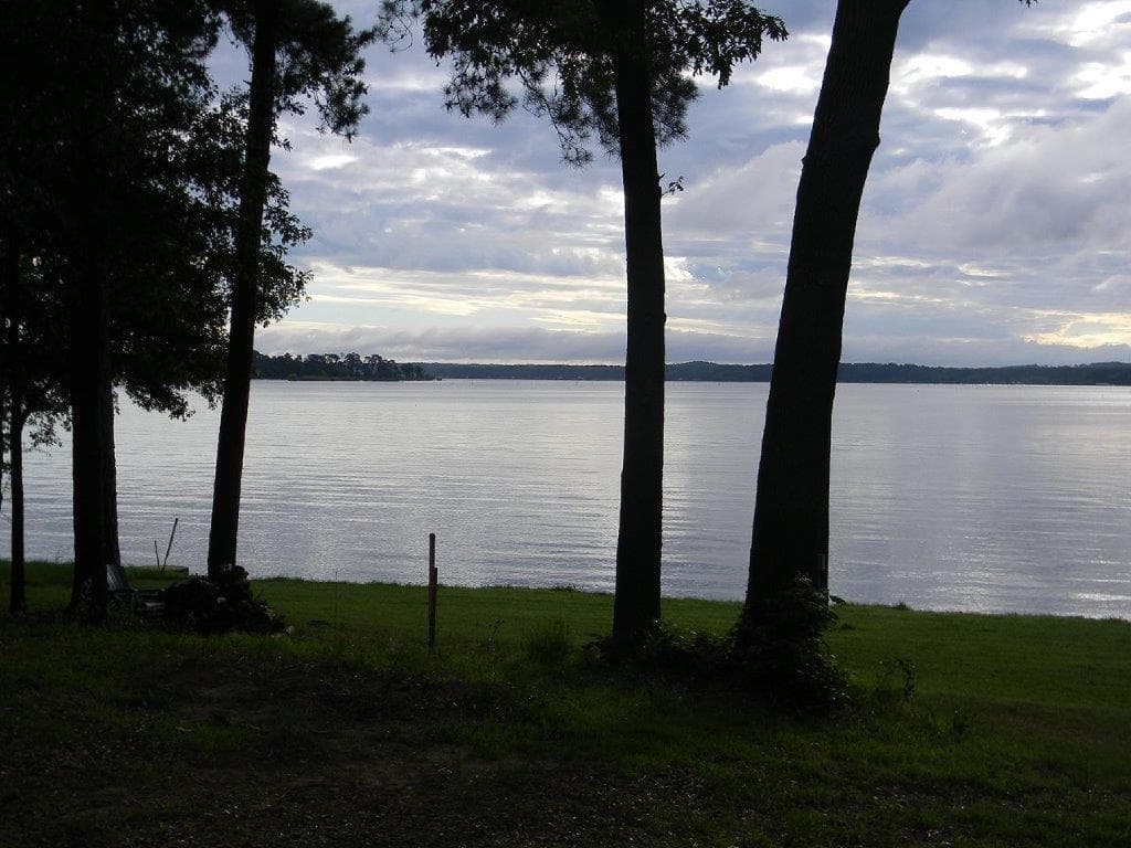 Gallery image 4