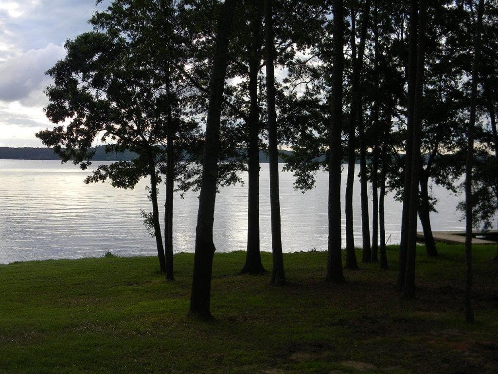 Gallery image 5