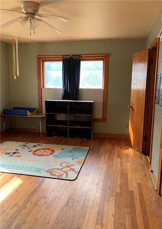 Gallery image 4