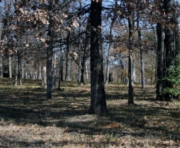 Gallery image 5