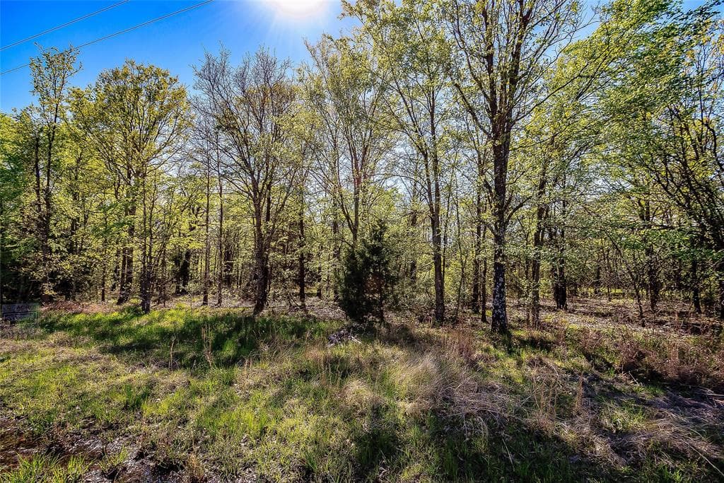 1626 Rs County Road 3345