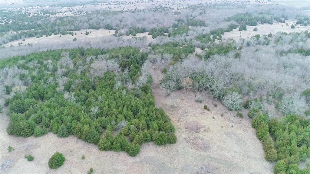 4416 County Road 3425
