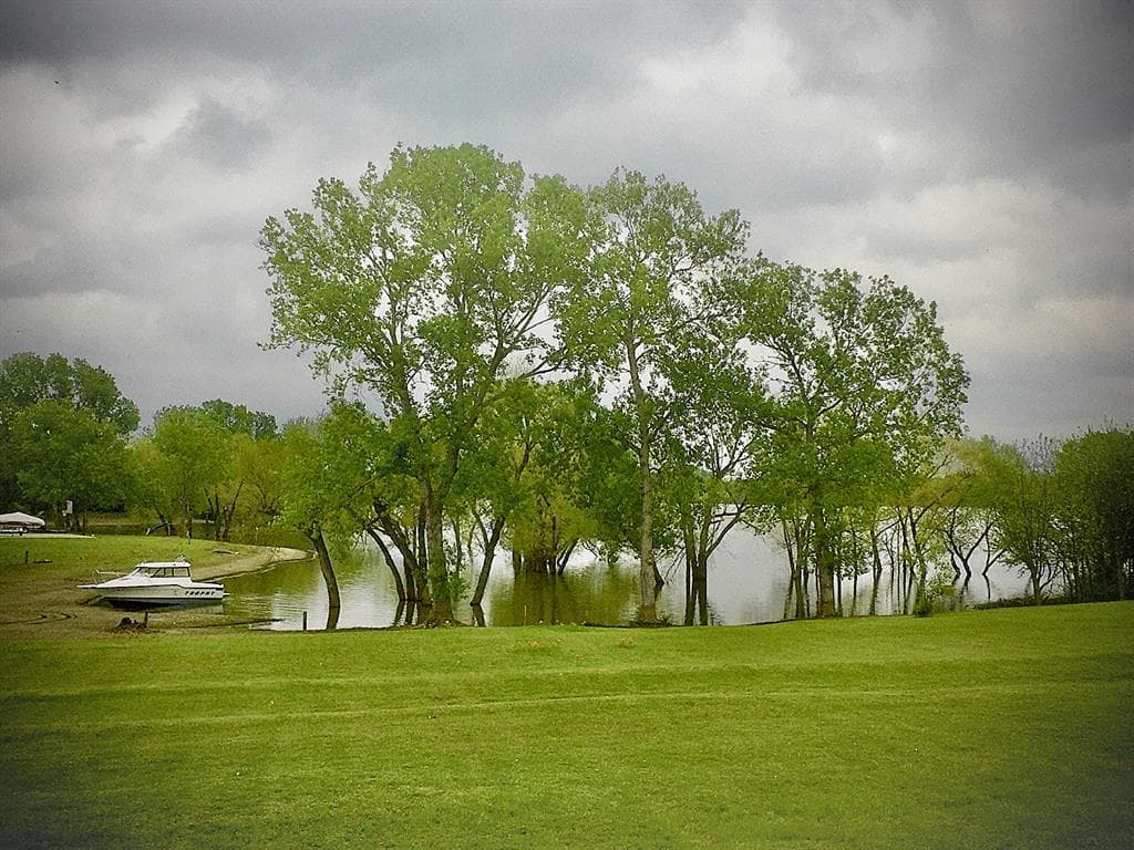 Gallery image 2