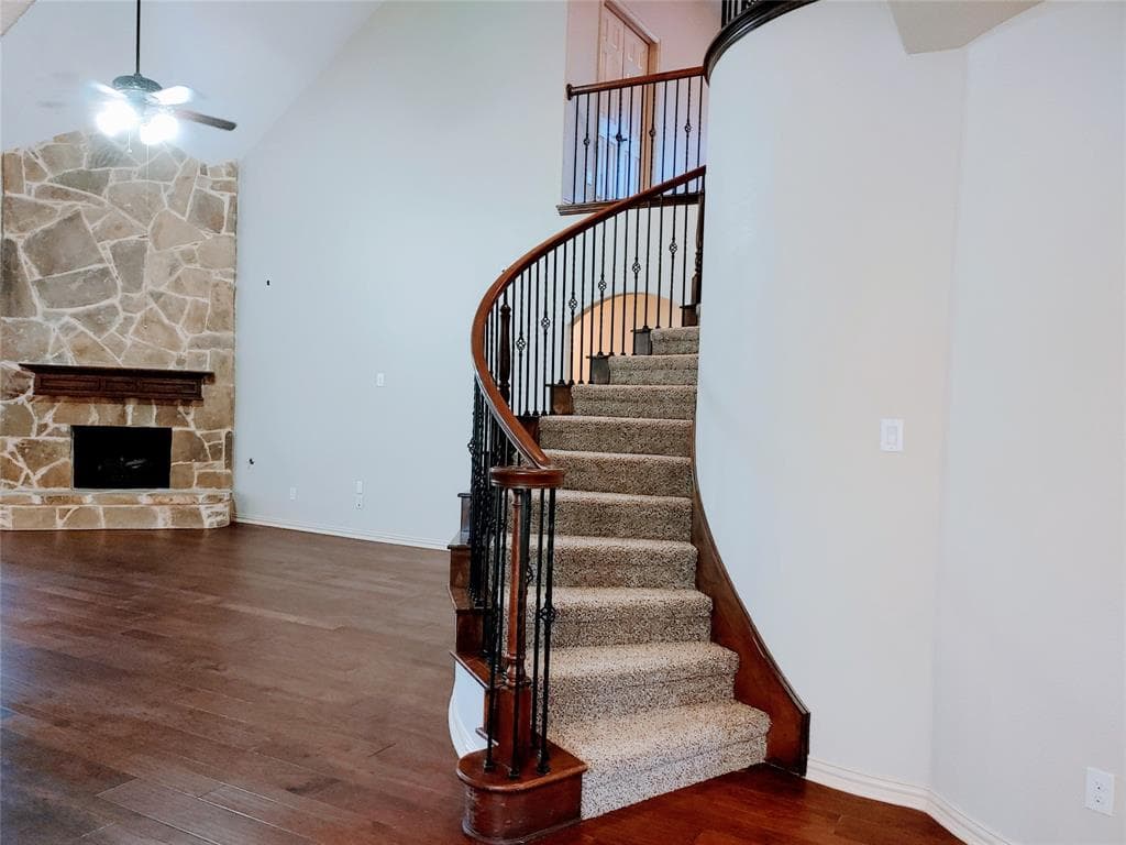 Gallery image 4