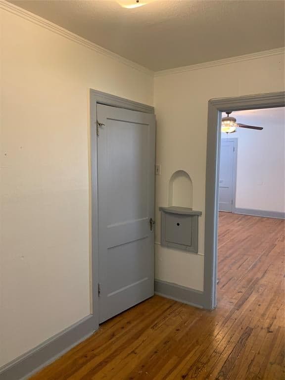 Gallery image 3
