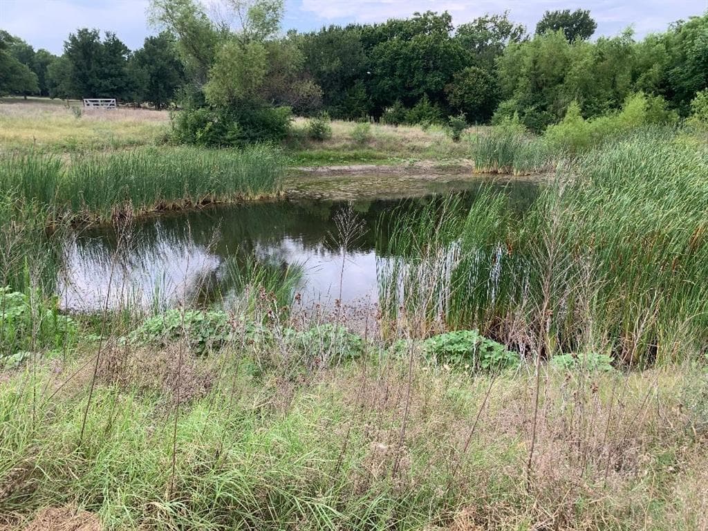 3162 Highway 174