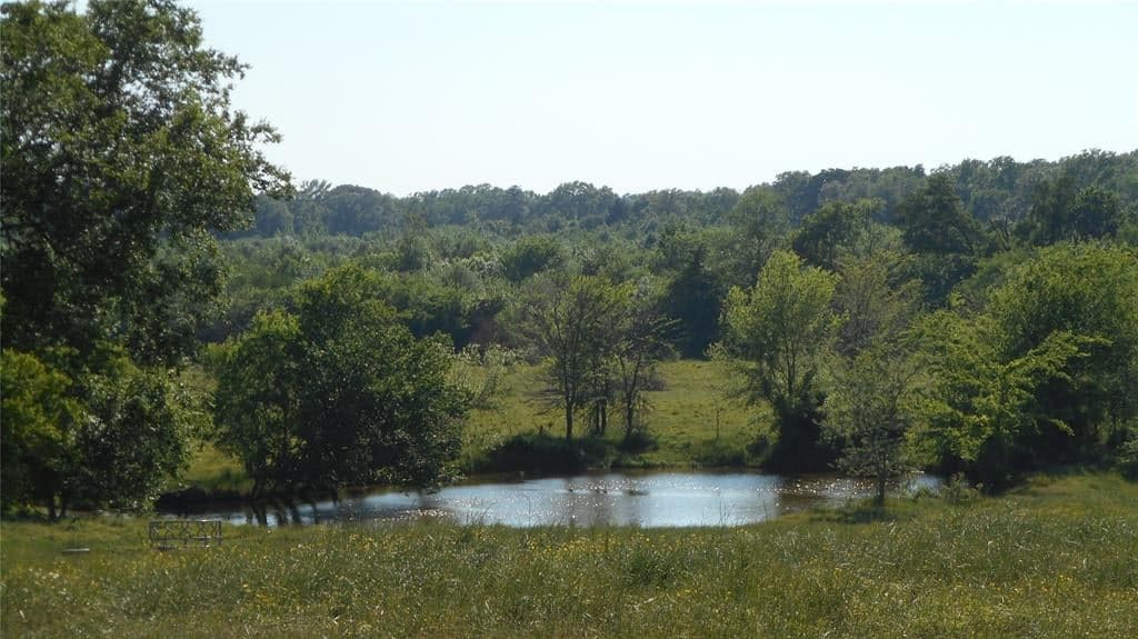 550 County Road 2431