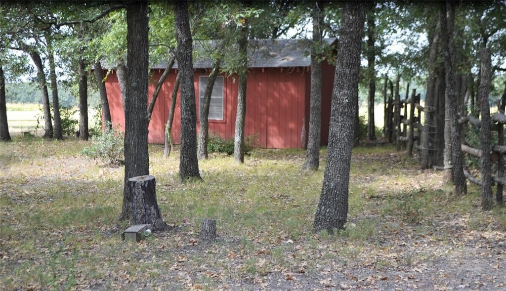 Gallery image 5
