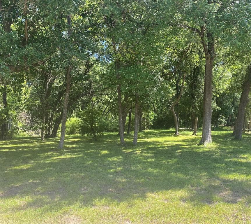 2208 Bluff Ct