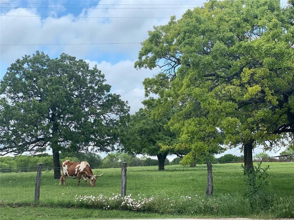 244 County Road 3250