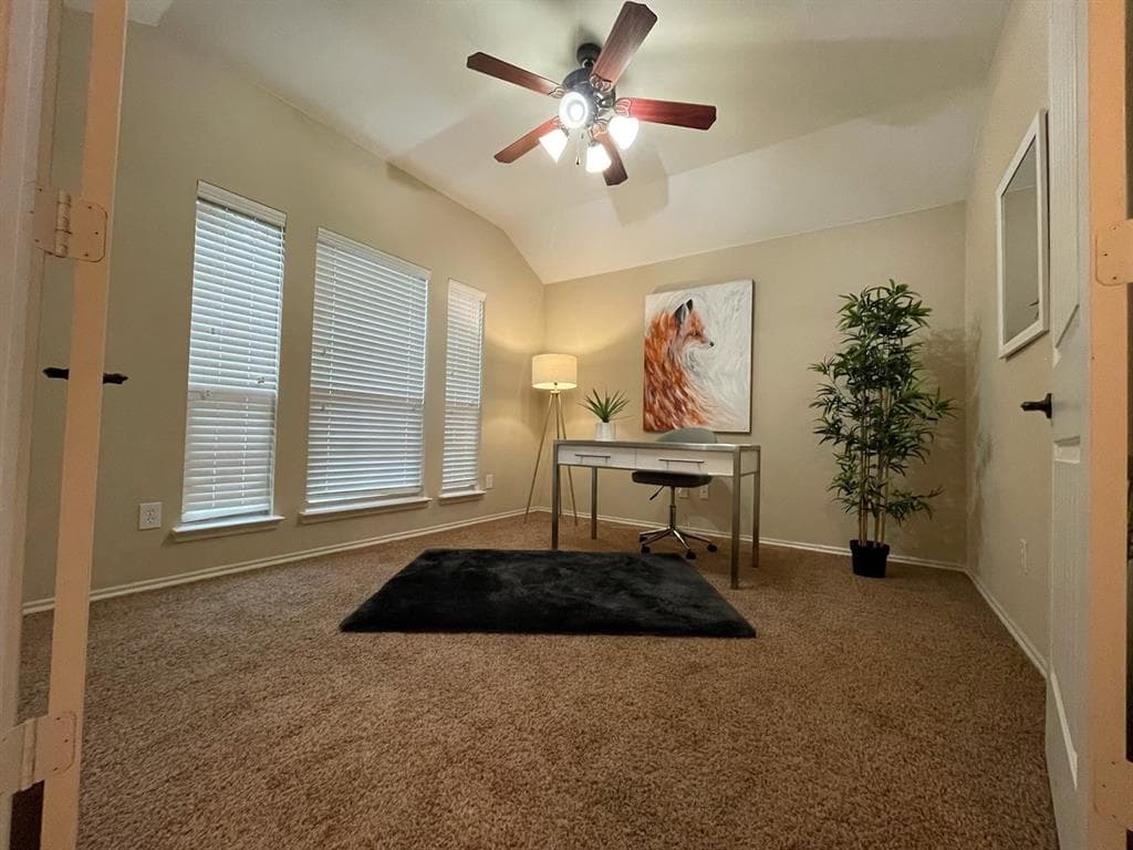 Gallery image 5