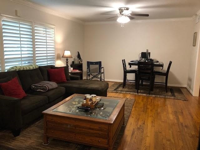 Gallery image 3