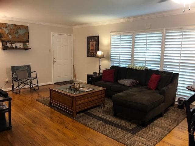 Gallery image 4