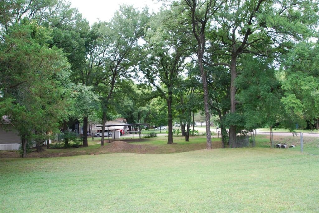 Gallery image 5