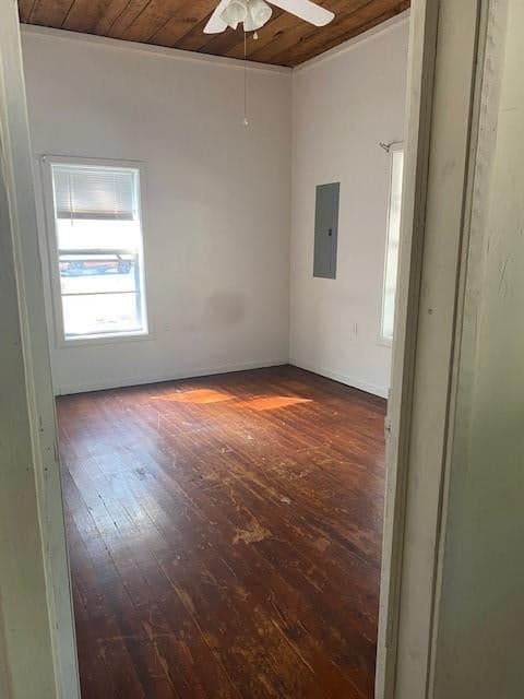 Gallery image 3