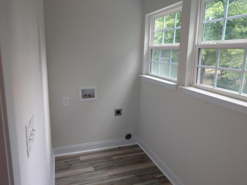Gallery image 5