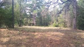 10911 Sheep Rd