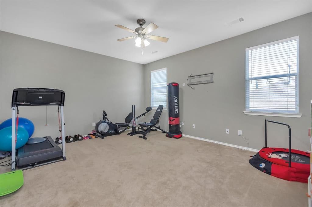 Gallery image 5