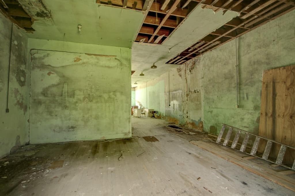 Gallery image 5