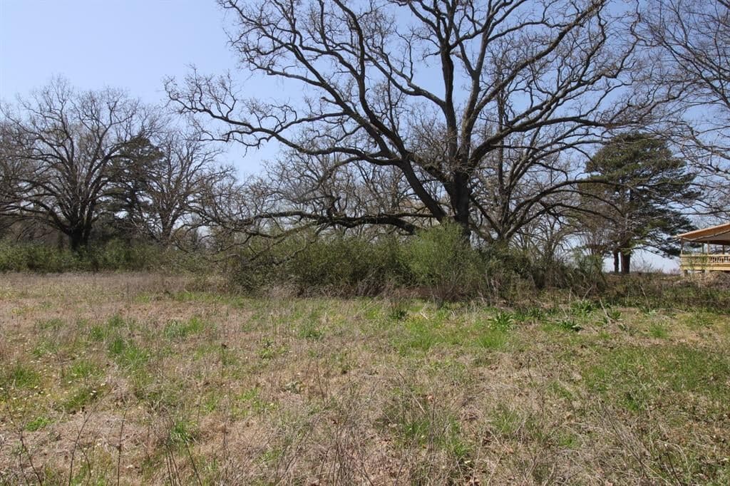 22419 County Road 2161