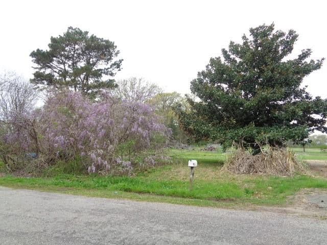 851 County Road 1522