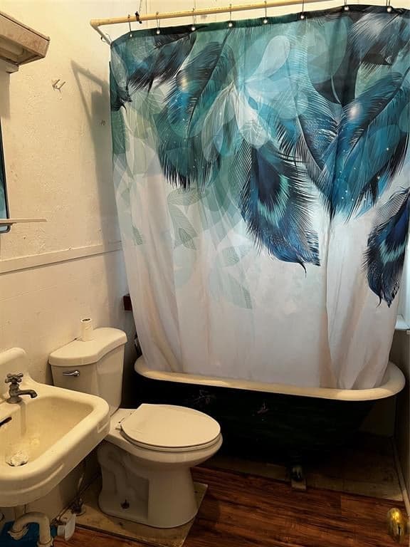 Gallery image 2