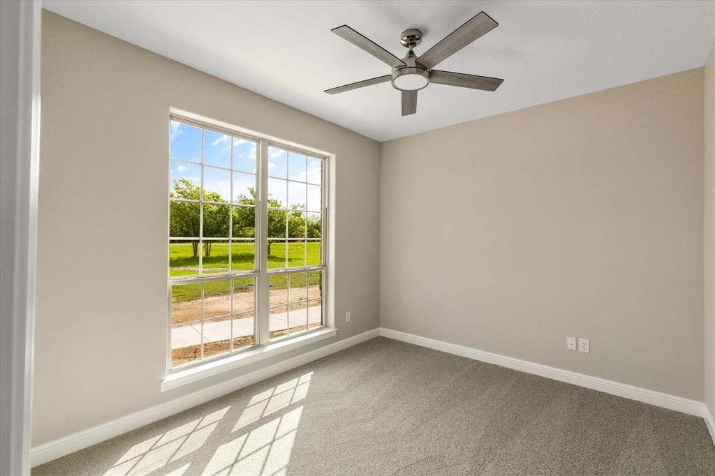 Gallery image 5