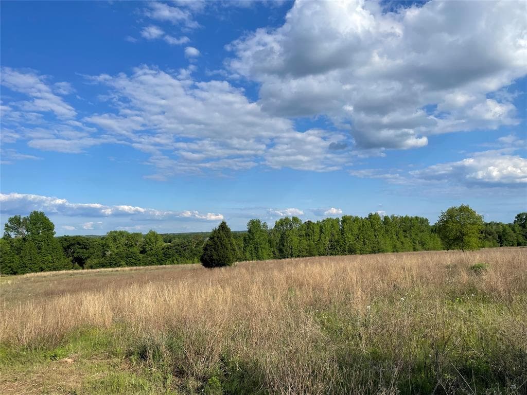 5050 County Road 3911