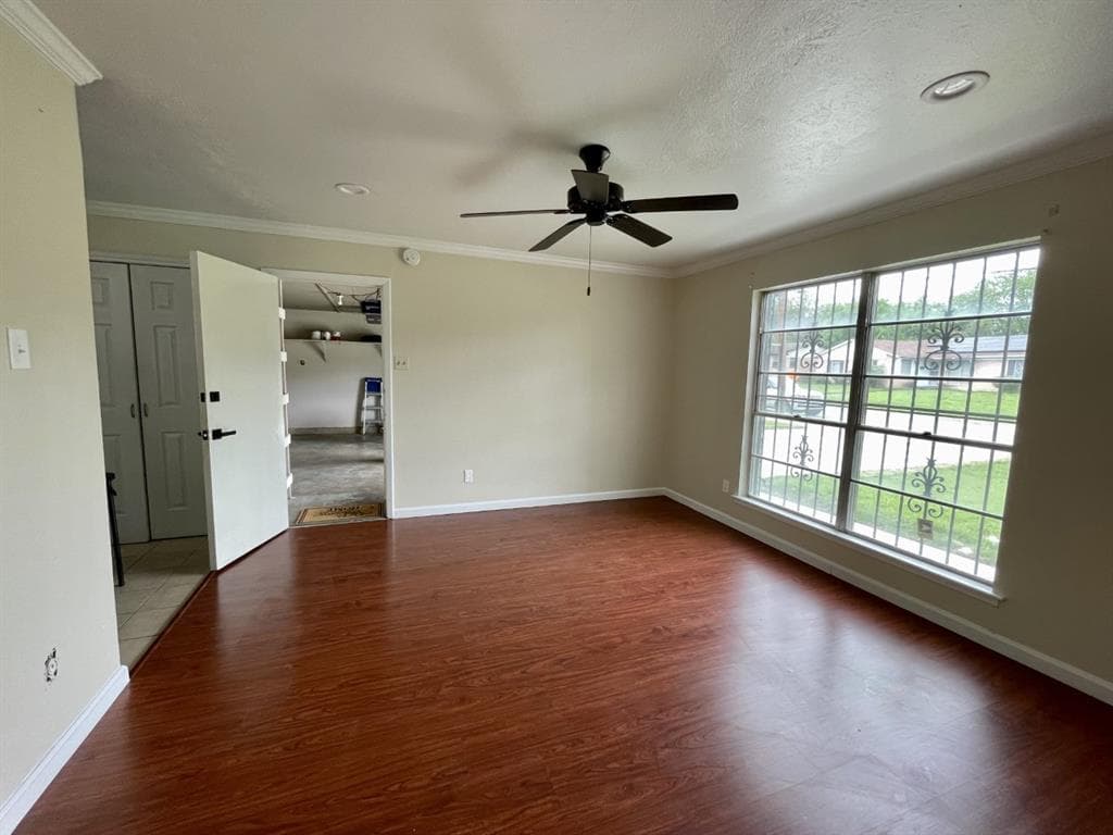 Gallery image 4