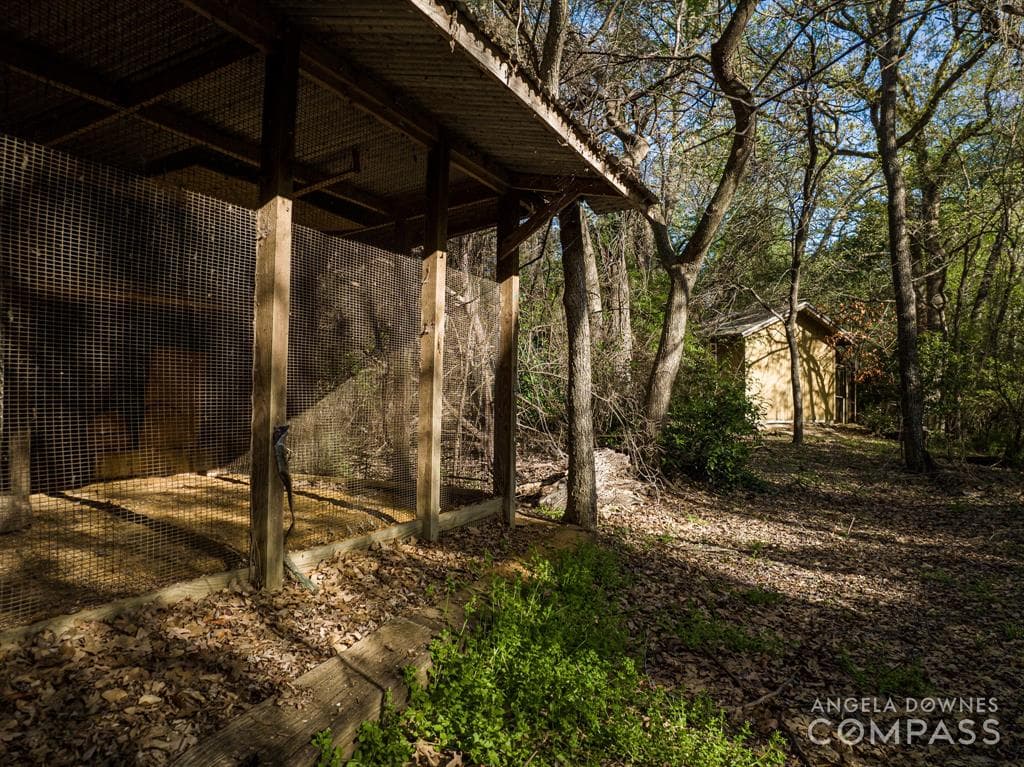Gallery image 4