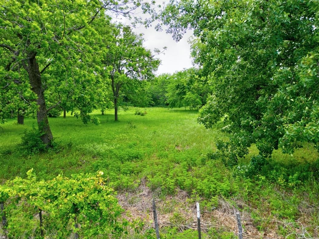 533 County Road 167