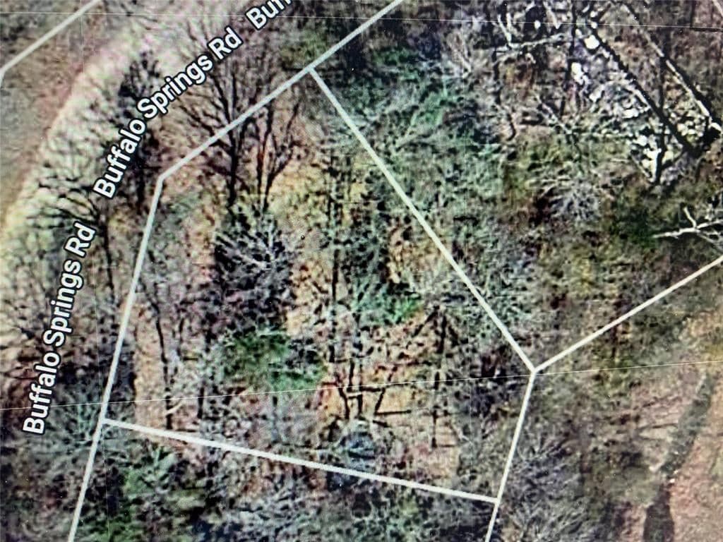 142 Buffalo Springs Rd