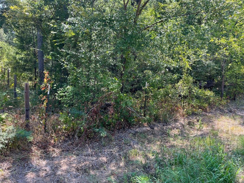 131 Longhorn Rd