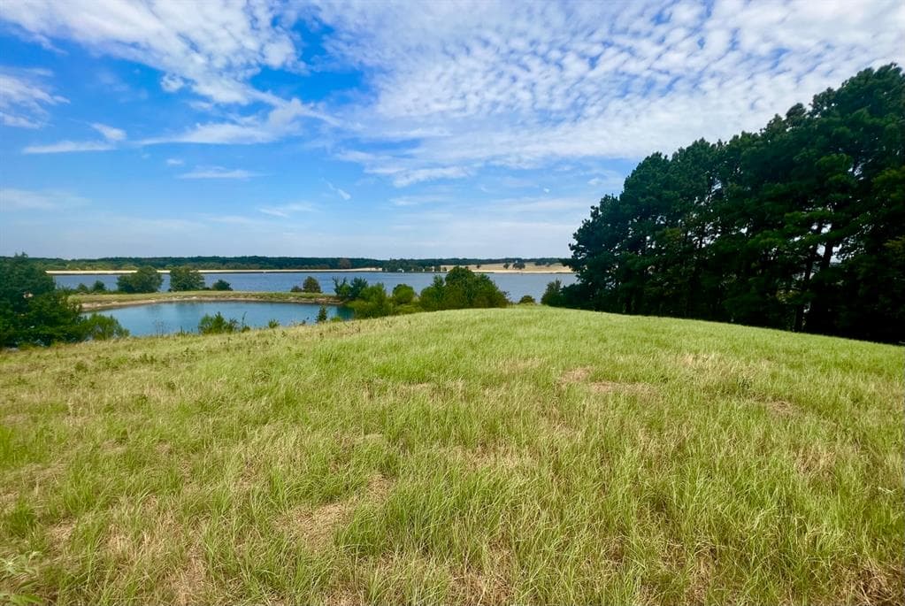 Lago Vista Dr