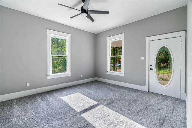 Gallery image 4