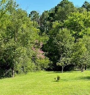 2706 Page Rd