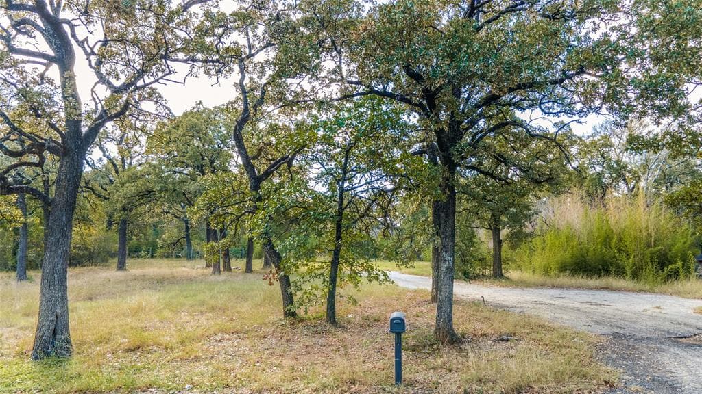 2459 Raintree Dr