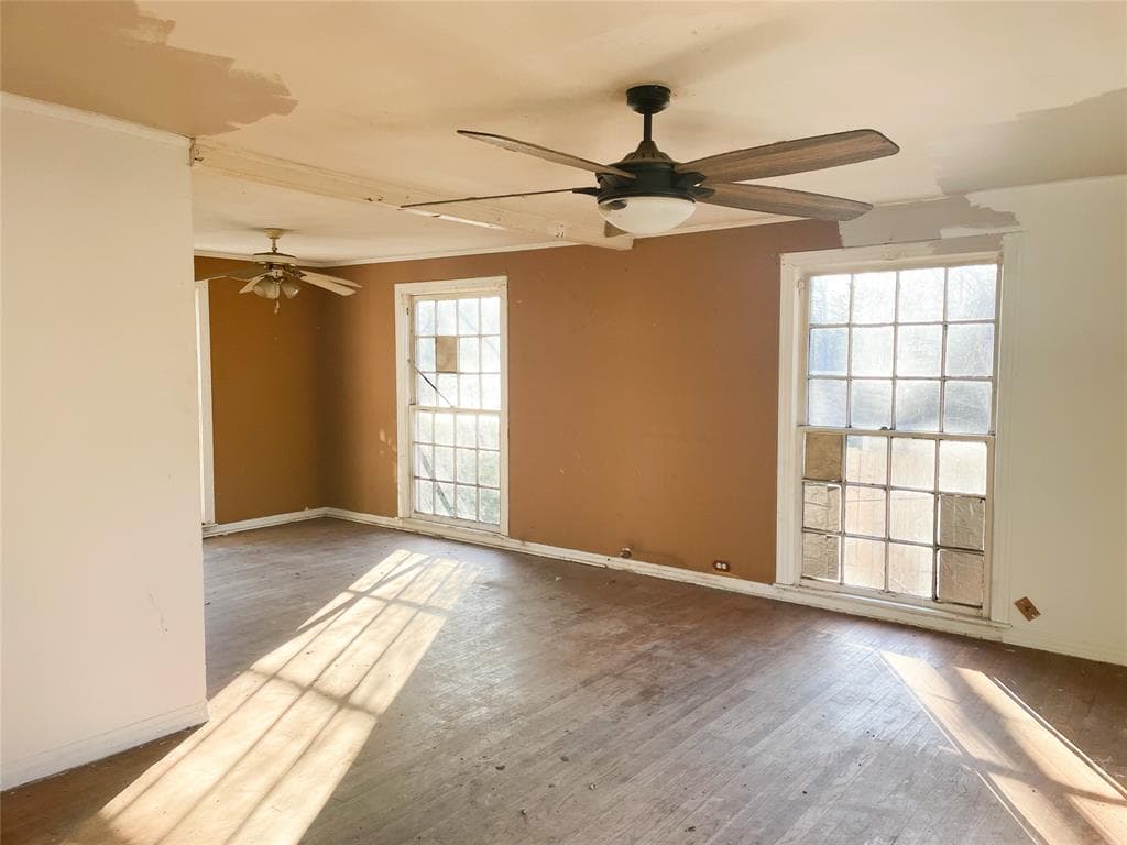 Gallery image 3